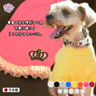 犬 服 Tシャツ 国産無地Tシャツ 男の子や女の子におすすめの犬の服 春夏も秋冬も活躍するおもしろな一枚 …