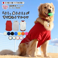 犬 服 Tシャツ 国産無地Tシャツ 中型犬や大型犬に合わせたサイズのペット服 男の子や女の子が楽しめる犬…