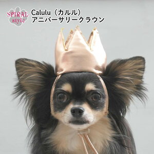  Xq Calulu J Ajo[T[NE t ̎q ^ H~ j̎q  Z[   t ybg 킢 ₷ ̕ h~ a j