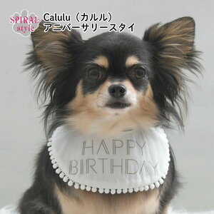  X^C Calulu J Ajo[T[X^C t j̎q ^ H~ ̎q  킢 h~ ybg   Z[ a j
