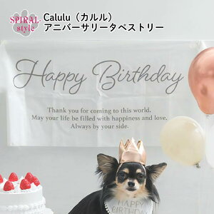   Calulu J Ajo[T[^yXg[ ^ ^ t H~ ̎q ^ j̎q Z[  킢 ybg  