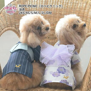 VvŗfUCmtOK^  ĕn ROPE PICNIC ysNjbN  ^`^ΉŒj̎qA̎qɒ₷Ȍ̕ tČybgł h~₨