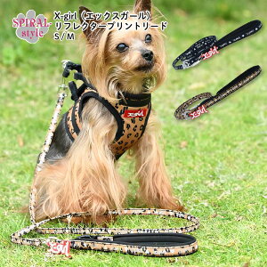   X-girl GbNXK[ tN^[vg[h t ̎q H~ ^ j̎q Z[ ybg 킢    