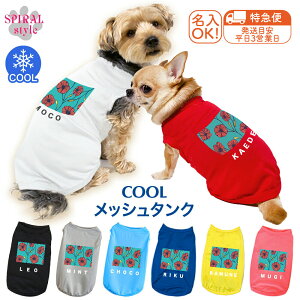 O}ց   ĕ ꃁbV^N O[|s[ tĂ̎UŊy߂邨낢 ^⒆^̂߂ɍꂽybg j̎q⏗̎qɎ̕ 