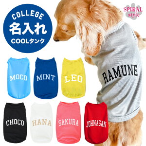   ĕ ꃁbV^N l[S 킢fUCɒ₷ j̎q⏗̎qɎ̕ tĂɂ҂̂낢X^C ^⒆^ɑΉ