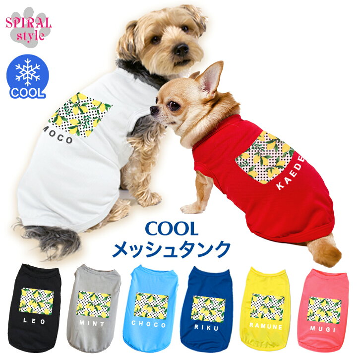 楽天市場】犬 服 オーダーメイド 犬服 犬の服 名前入り 名入れメッシュ 
