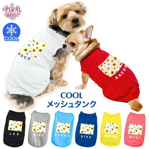   ĕ ꃁbV^N Ђ܂2zCg tĂɉf邨낢fUC ₷dlłȂ킢ꖇ j̎q⏗̎qɐlČ̕ ^⒆^ɍ킹