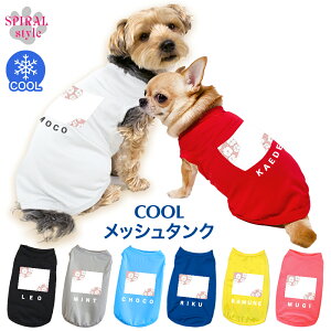   ĕ ꃁbV^N t[9sN tĂʂ邨fUC̕ j̎q⏗̎qɎ̕ ^⒆^ɑΉԂ̃ybg ɌĂ킢