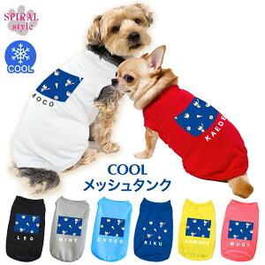   ĕ ꃁbV^N S5lCr[ tĂʂ邨fUC̕ 킢ۂłɒ₷ ^⒆^ɍ킹TCỸybg j̎q⏗̎q