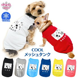 犬 服 夏服 名入れメッシュタンク スター2グレー おしゃれに見えてかわいい着せやすいデザイン 男の子や女の子に人気の犬の服 春夏にぴったりのおもしろいスタイル 小型犬や中型犬に対応する定番のペット服 セールの注目服 名前入りのオーダーメイドのクール服。