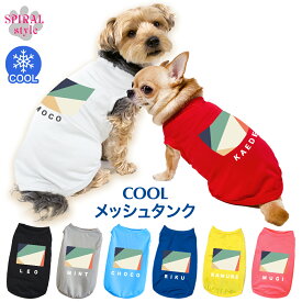 犬 服 夏服 名入れメッシュタンク 幾何学4グリーンベージュ 男の子や女の子に似合う犬の服 かわいい印象でおしゃれに着せやすい服 小型犬や中型犬が使いやすいサイズのペット服 春夏を彩るおもしろデザインの服 セールの注目服 名前入りのオーダーメイドのクール服。