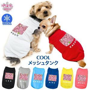   ĕ ꃁbV^N ԓagiȂj ^⒆^Ɍp̃ybg tĂɂ҂̂낢X^C j̎q⏗̎qɂ߂̌̕ 킢