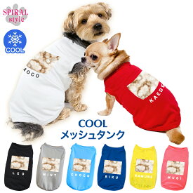 犬 服 夏服 名入れメッシュタンク 彩りマーブルブラウン かわいいデザインをおしゃれに着せやすい服 男の子や女の子におすすめの犬の服 春夏の散歩で楽しめるおもしろい服 小型犬や中型犬のために作られたペット服 セールの注目服 名前入りのオーダーメイドのクール服。