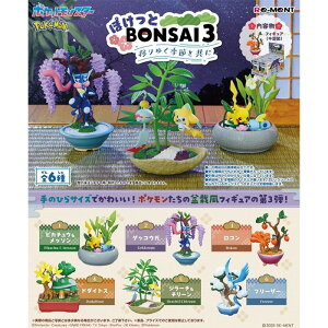 [g |P tBMA |PbgX^[ ۂBONSAI3 ڂ䂭G߂Ƌ S6 BOX SZbg