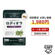 【初回限定26%OFF・お一人様1個限り・送料無料】ロディオラロゼア Rhodiola 300mg アダプトゲン 30粒 国…