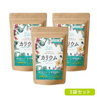 【セット割34%OFF！】カリウム 3袋 サプリメント 塩化カリウム 業界高水準 1300mg 栄養機能食品 (ビタミ…