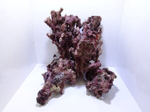 CubN}󁕃m[} S`MTCY ܂5kgZbg (摜̓TvɂȂ܂)