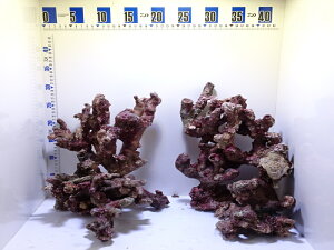 CubN} M`LTCY 5kgZbg (摜̓TvɂȂ܂)