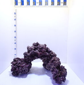 CubNm[}S`MTCY3kgZbg(i摜̓TvƂȂ܂)