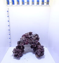 楽天市場】ライブロック 2kgの通販