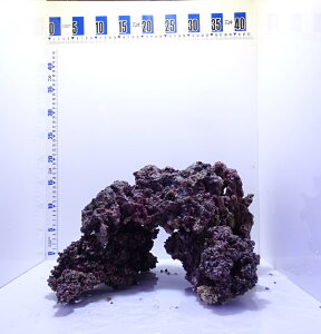 CubNm[}ML`LTCY5kgZbg(i摜̓TvƂȂ܂)