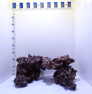 CubNm[}S`MTCY5kgZbg(i摜̓TvƂȂ܂)