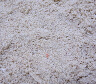 【人気商品】 【在庫限定】 ナチュラルリーフサンド （極上サンゴ砂）5kgセット （サンゴ）（天然物） （…