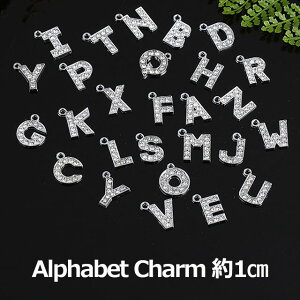 At@xbg `[ Vo[ L[z_[ CjVp[c@t@Xi[ p[c L[z_[ 1cm(S`Z)