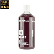 INNOVACAR DS SCALE イタリア製 洗車 酸性カーシャンプー 洗車用品 洗車グッズ カー用品 シーラント イノ…