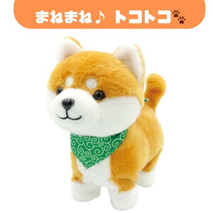 yKiOSTz܂˂܂˃gRgR Vo  ʂ  ׂ ^  F 킢 v[g Mtg q LbY ̎q j̎q a NX}X ݌ɂ 