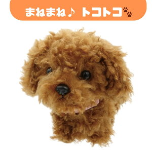 yKiOSTz܂˂܂˃gRgR Vo  ʂ  ׂ ^  F 킢 v[g Mtg q LbY ̎q j̎q a NX}X ݌ɂ 