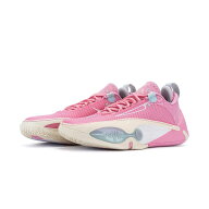 LI-NING(リーニン) メンズ バスケットボール バスケ シューズ バッシュ WADE ALLCITY 14 ABAW001-2