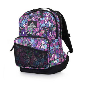 LpXfCM bN  AEghA ʋ ʊw nCLO s GREGORY(OS[) 130312A589