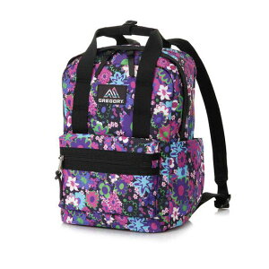 GREGORY(OS[) 137541A589 C[W[s[W[fCXS bN   JWA o fB[X Vv