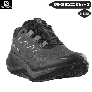 SALOMON(�T������) �����Y �����j���O�V���[�Y AERO BLAZE 3 GRVL L47915600