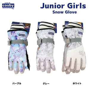 cosby(コスビー) CS-7192 ジュニア スノーグローブ スキーグローブ あったかフリース裏地 防水フィルムインサート