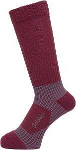 jZbNX A[`T|[g gbLO\bNXi~bhEFCgj C C3fit(V[X[tBbg) GC23381