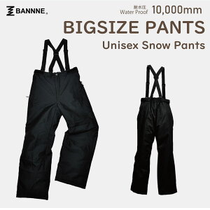 Y fB[X Xm[pc XL[pc Vv S jZbNX BANNNE(ol) BNS-P10AB