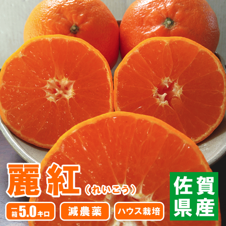 姫　佐賀県唐津産　ハウス麗紅みかんせとか約10キロ 楽天市場】【2月中旬から順次ご発送】【 はまさき 2kg 秀品