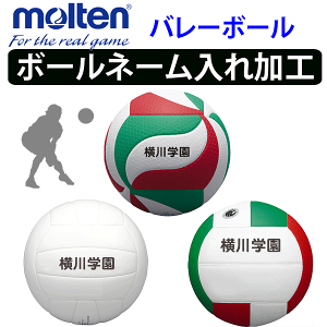 バレーボール ボール 入れの人気商品 通販 価格比較 価格 Com
