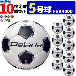 yN[|20OFFze TbJ[{[ 5 10Zbg y[_4000 苅@F5K4000