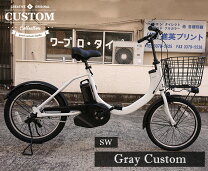 楽天市場】sw 2019 panasonicの通販