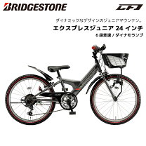 381、ブリヂストンジュニアマウンテンバイク24インチ