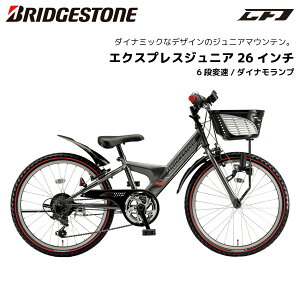 qp] uaXg GNXvXWjA 26C` _Civ EXJ65 6iϑ uWXg bridgestone