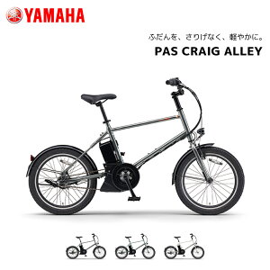 �d�����]�� ���}�n PAS CRAIG ALLEY �p�X �N���C�O �A���[ 20�C���` PA20CA �d���A�V�X�g���]�� yamaha �V�^�o�b�e���[���� 15.8Ah