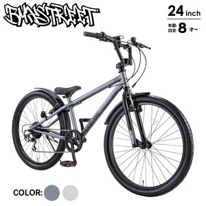 WjA oCN LbY qp] 24C` D-Bike r[GGNXg[g24 BM ides@ACfX