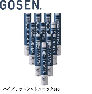 y10_[XzS[Z GOSEN Vg nCubhVg GHS510 oh~g