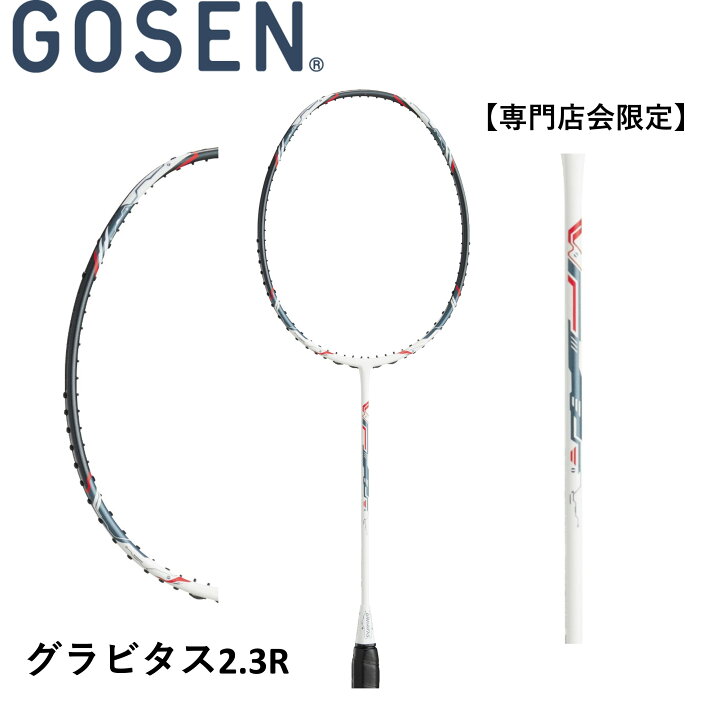 楽天市場】【最短出荷】【専門店会限定商品】【フレームのみ】ゴーセン 