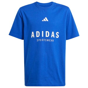 AfB_X adidas ALL SZN OtBbN TVc  WjA JC7615