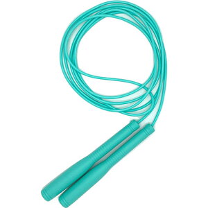 [bg ZETT gri ꒵ wZ̈g[jOpi ZK1941-2300